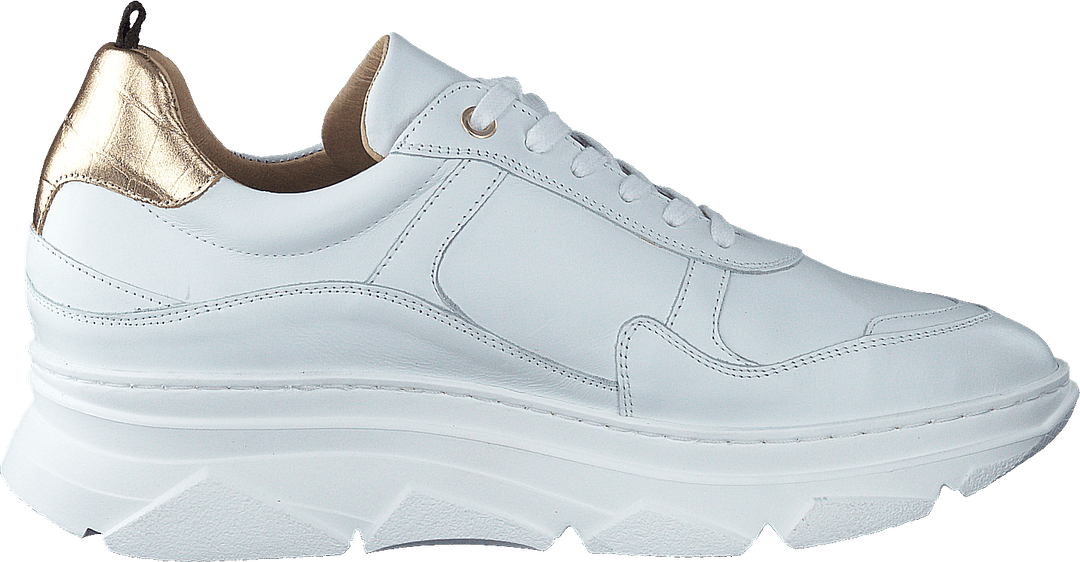 Quingo Bco White + Croc Gold