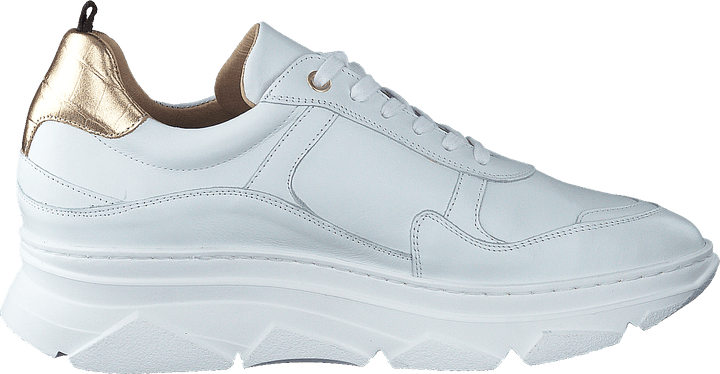 Quingo Bco White + Croc Gold