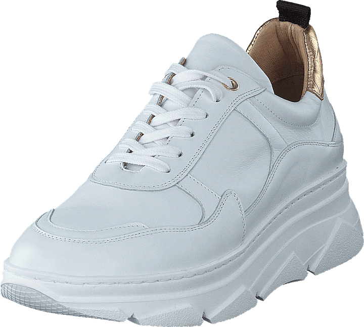 Quingo Bco White + Croc Gold
