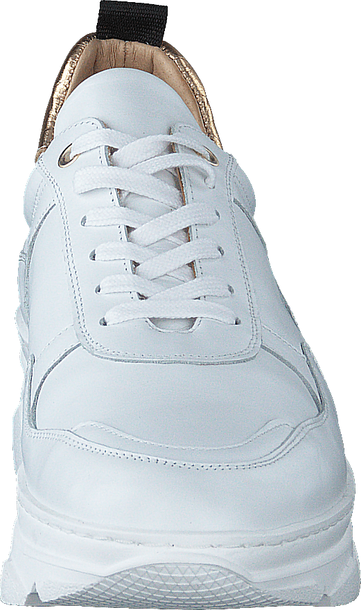 Quingo Bco White + Croc Gold