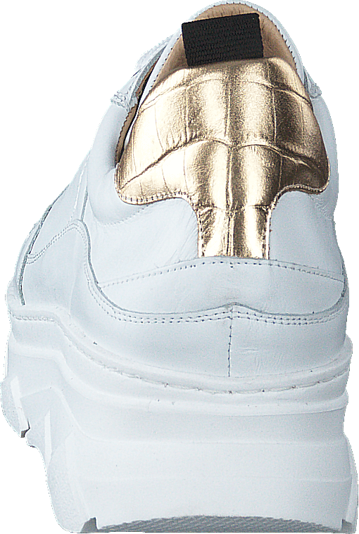 Quingo Bco White + Croc Gold