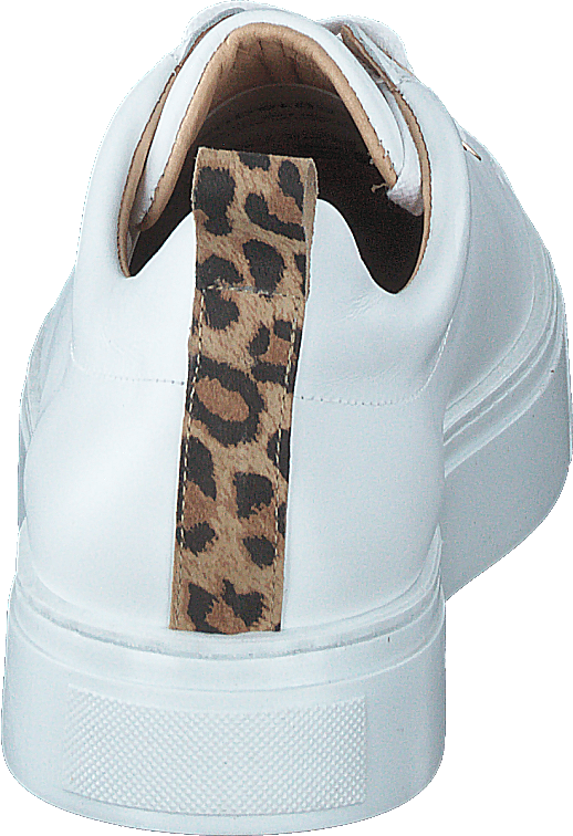 Coacig Bco Bianco + Leo