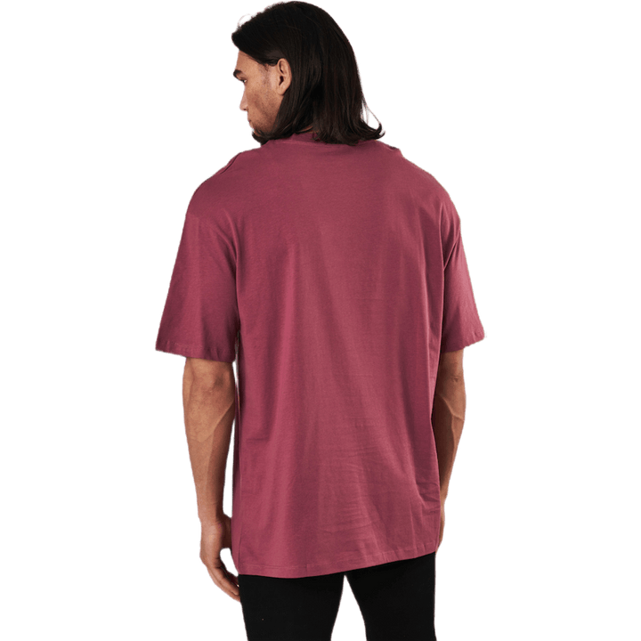 Tričko Brink Ss Crew Neck Hawthorn Rose