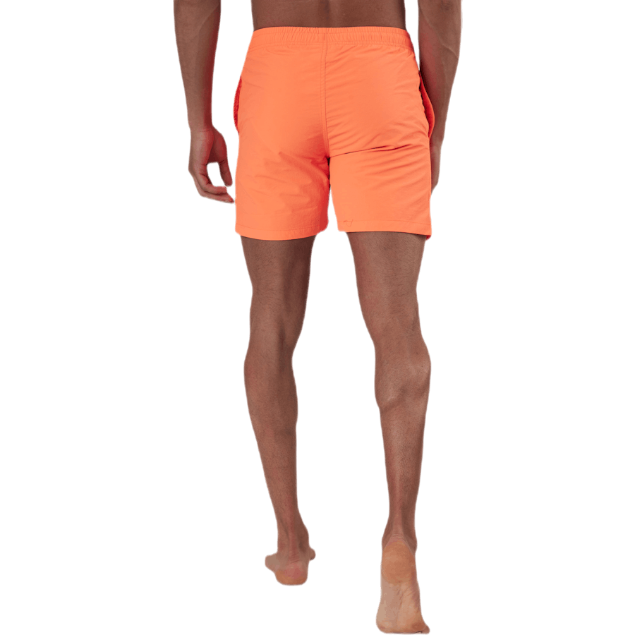 Eyemouth Basic Shorts Orange