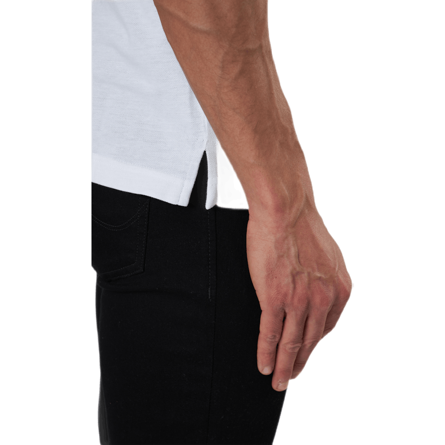 Fred Polo White
