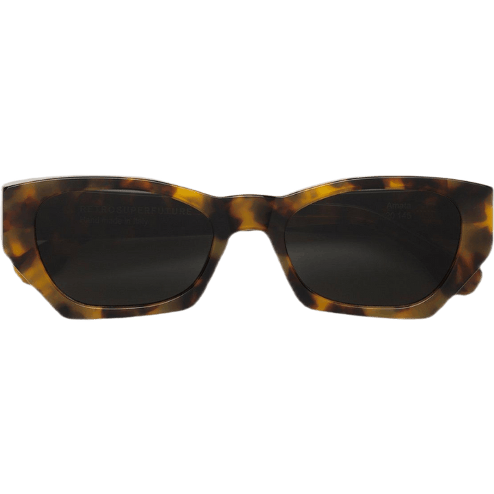 Amata Spotted Havana