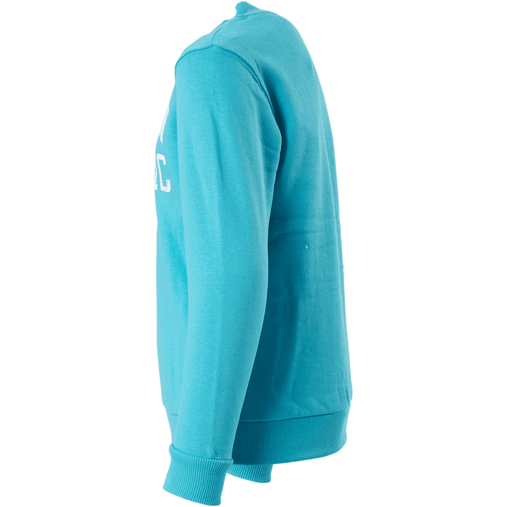 Dakota Rundhalspullover Blau