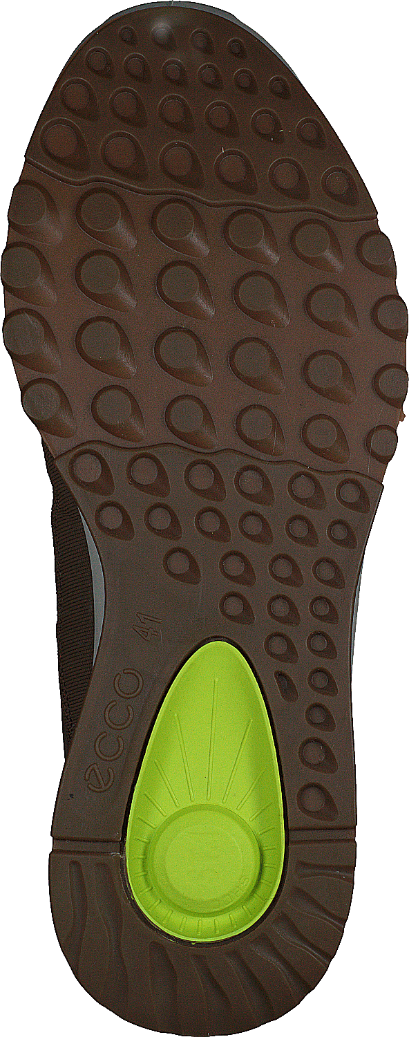 Ecco Exostride M Bouleau