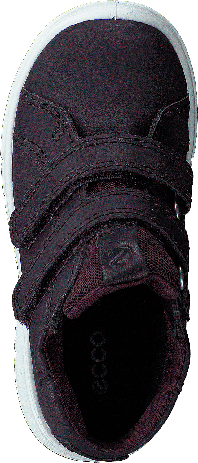 Ecco First Fig (Dark Purple)