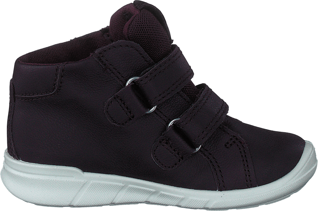 Ecco First Fig (Dark Purple)