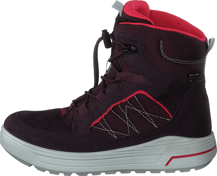 Ecco Urban Snowboarder Figue/baie de thé