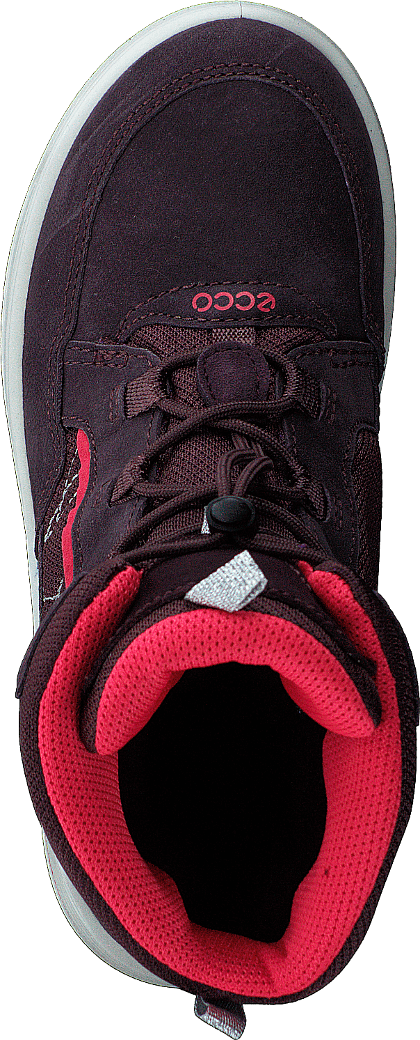 Ecco Urban Snowboarder Figue/baie de thé