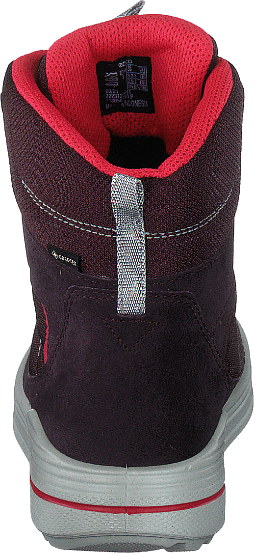Ecco Urban Snowboarder Figue/baie de thé