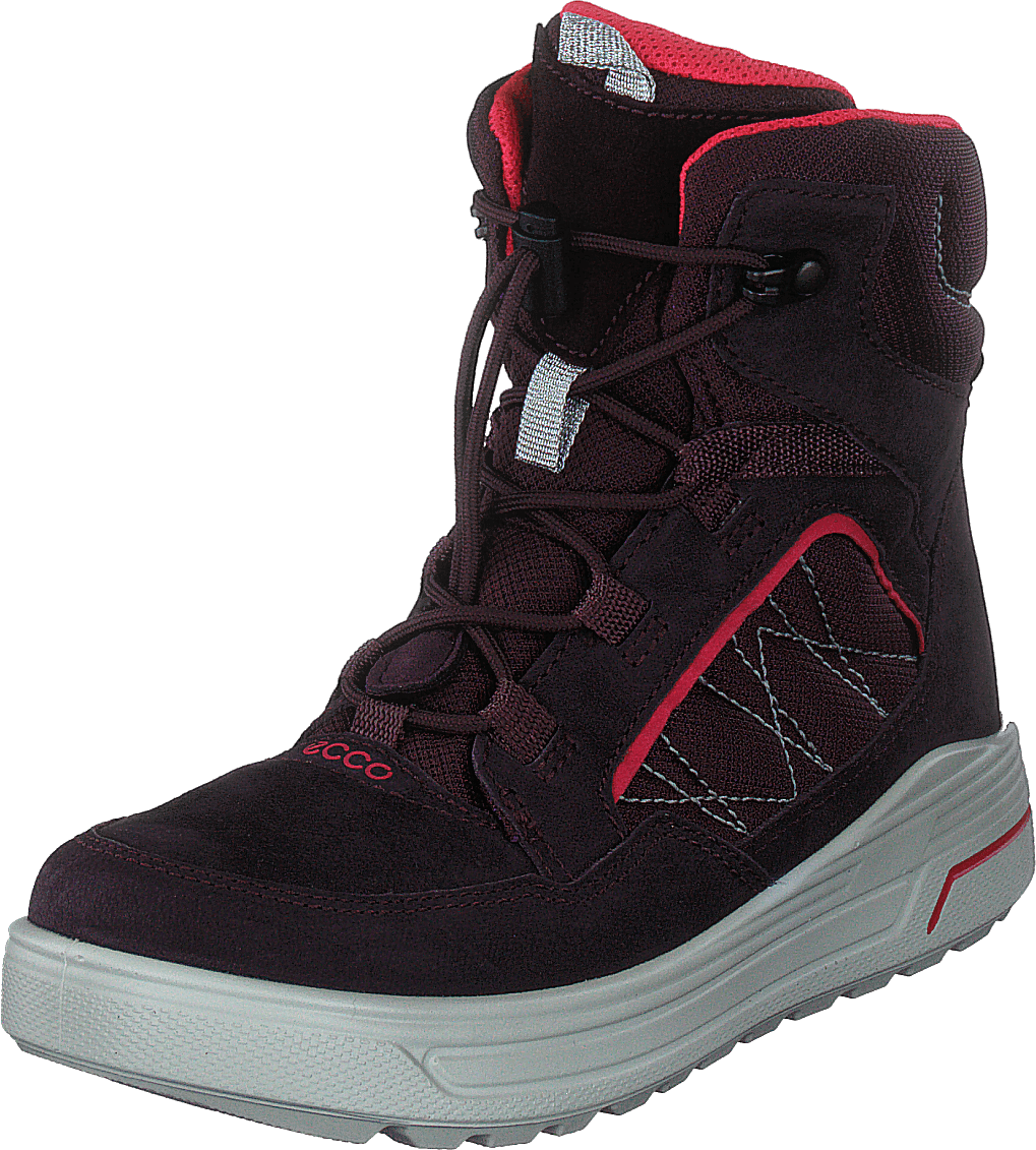 Ecco Urban Snowboarder Figue/baie de thé