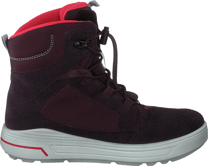 Ecco Urban Snowboarder Figue/baie de thé