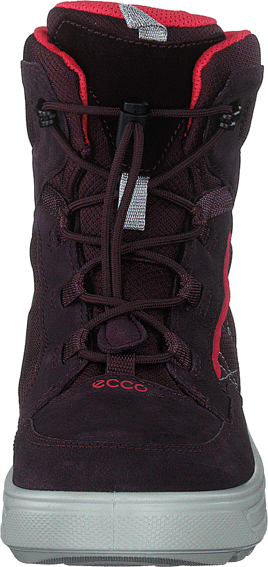 Ecco Urban Snowboarder Figue/baie de thé
