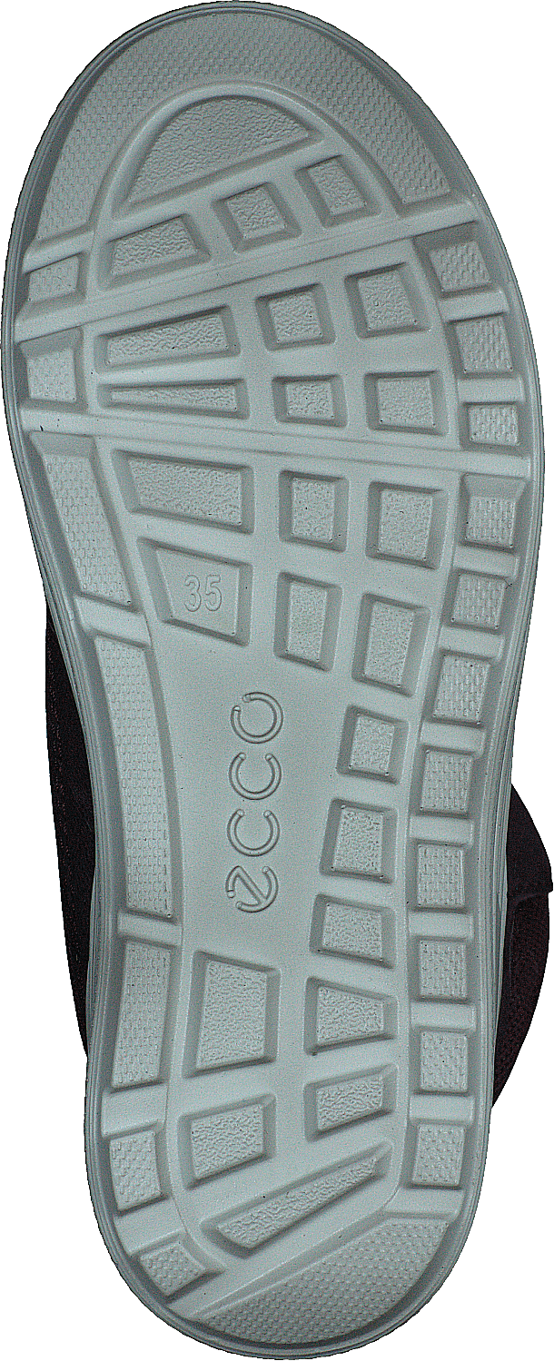 Ecco Urban Snowboarder Figue/baie de thé