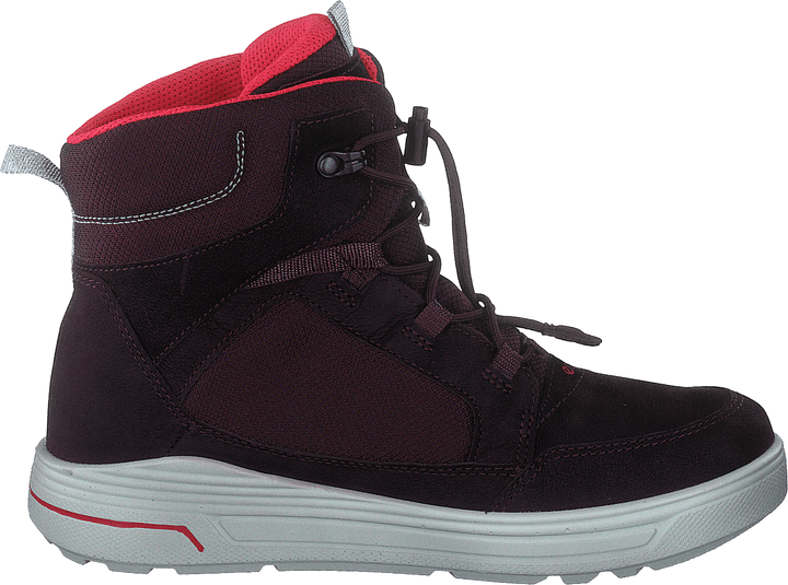 Ecco Urban Snowboarder Feige/Teebeere