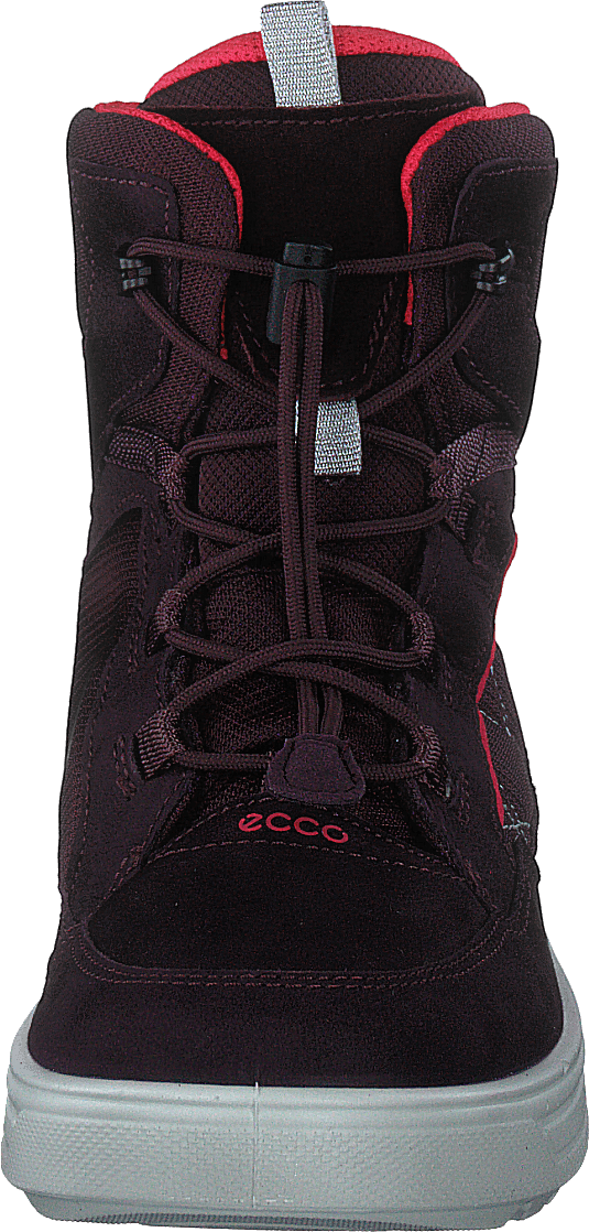 Ecco Urban Snowboarder Feige/Teebeere