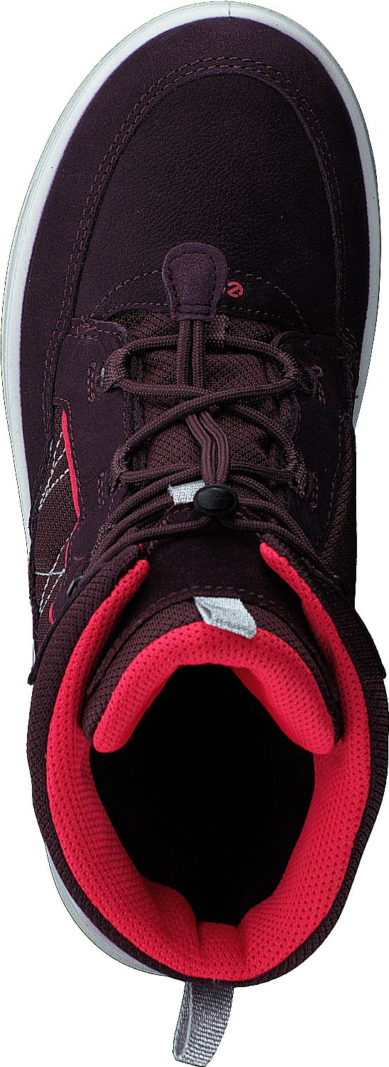 Ecco Urban Snowboarder Feige/Teebeere