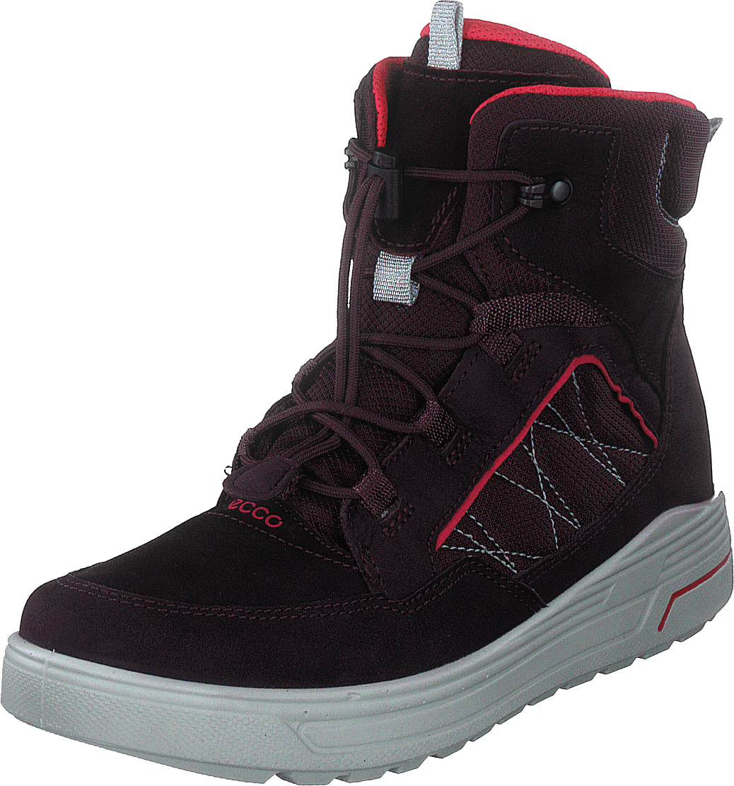 Ecco Urban Snowboarder Feige/Teebeere