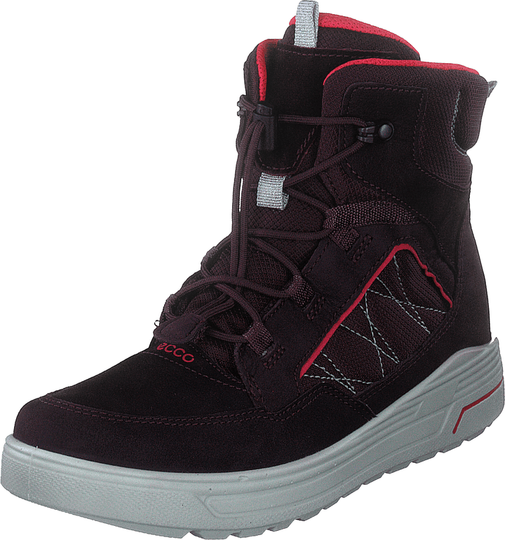 Ecco Urban Snowboarder Feige/Teebeere