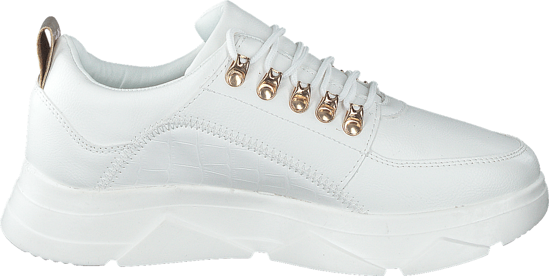 73-43279 Balts