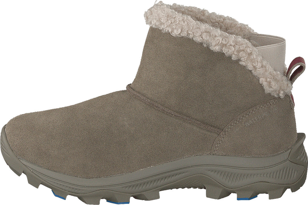 Icepack 2 Bluff Polar Wtpf Camel