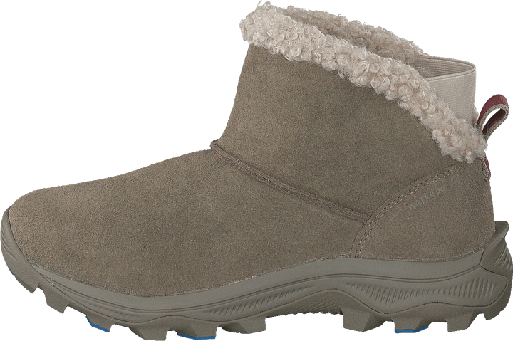 Icepack 2 Bluff Polar Wtpf Camel