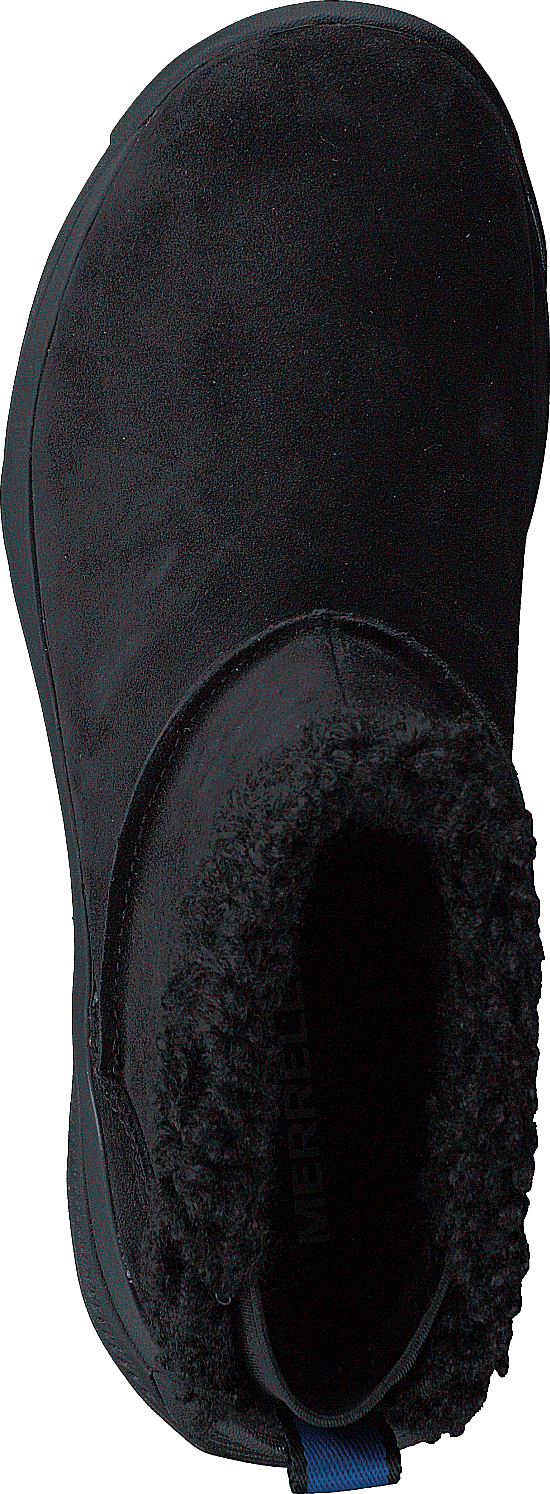 Icepack 2 Bluff Polar Wtpf Black