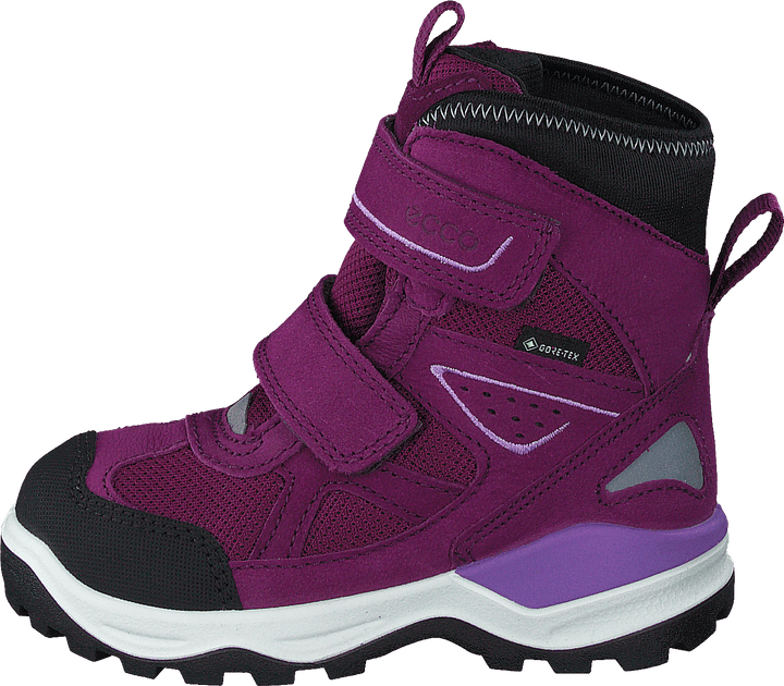 Ecco Snow Mountain Black/dark Purple/dark Purple