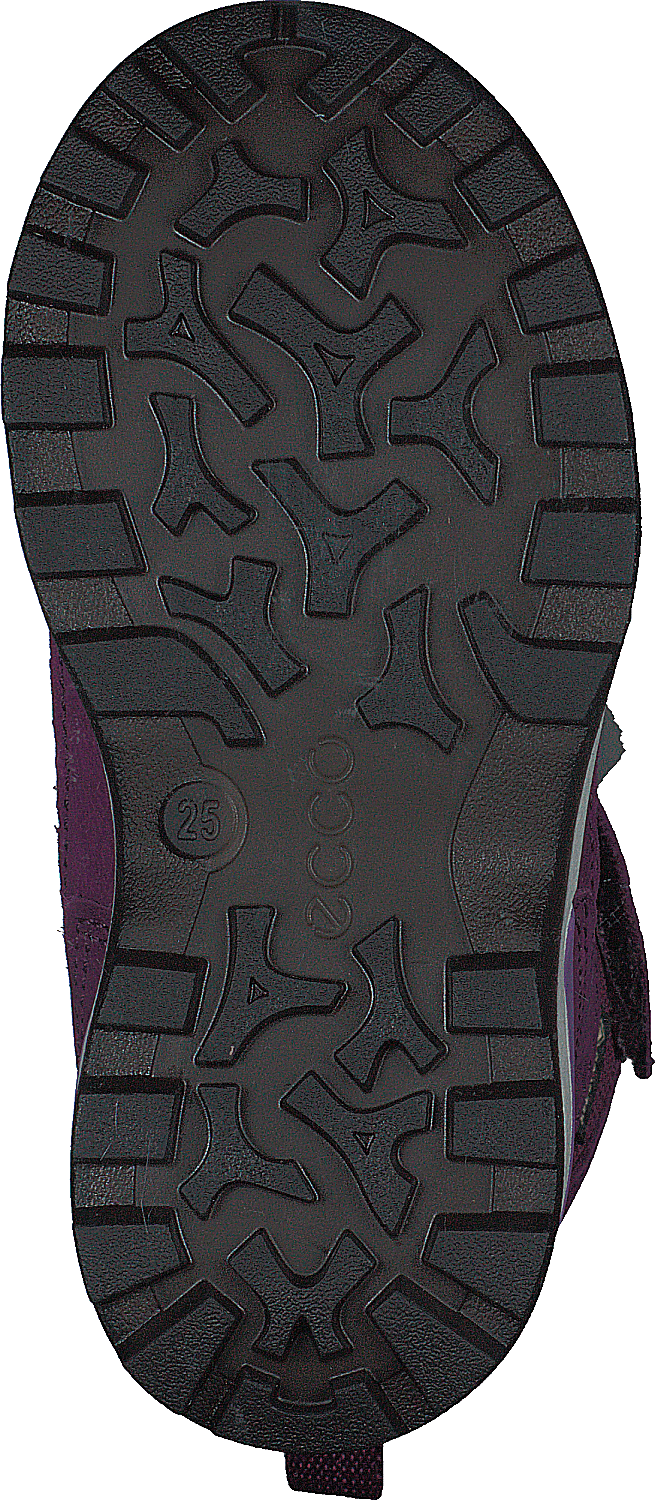 Ecco Snow Mountain Black/dark Purple/dark Purple