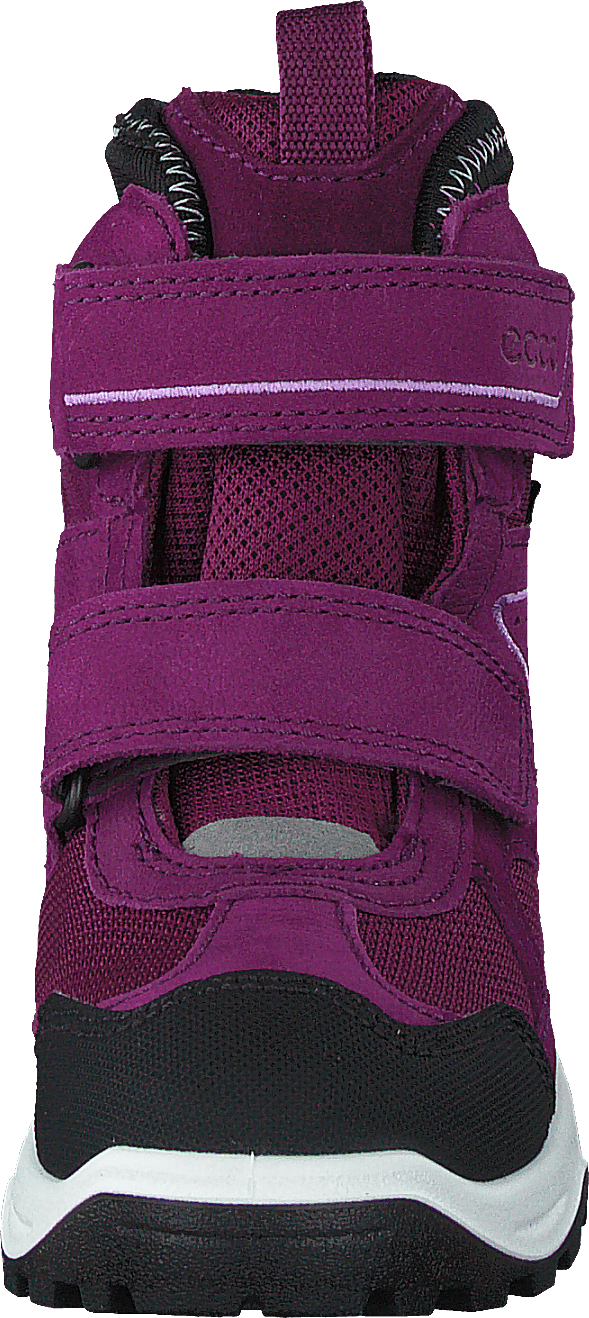 Ecco Snow Mountain Black/dark Purple/dark Purple