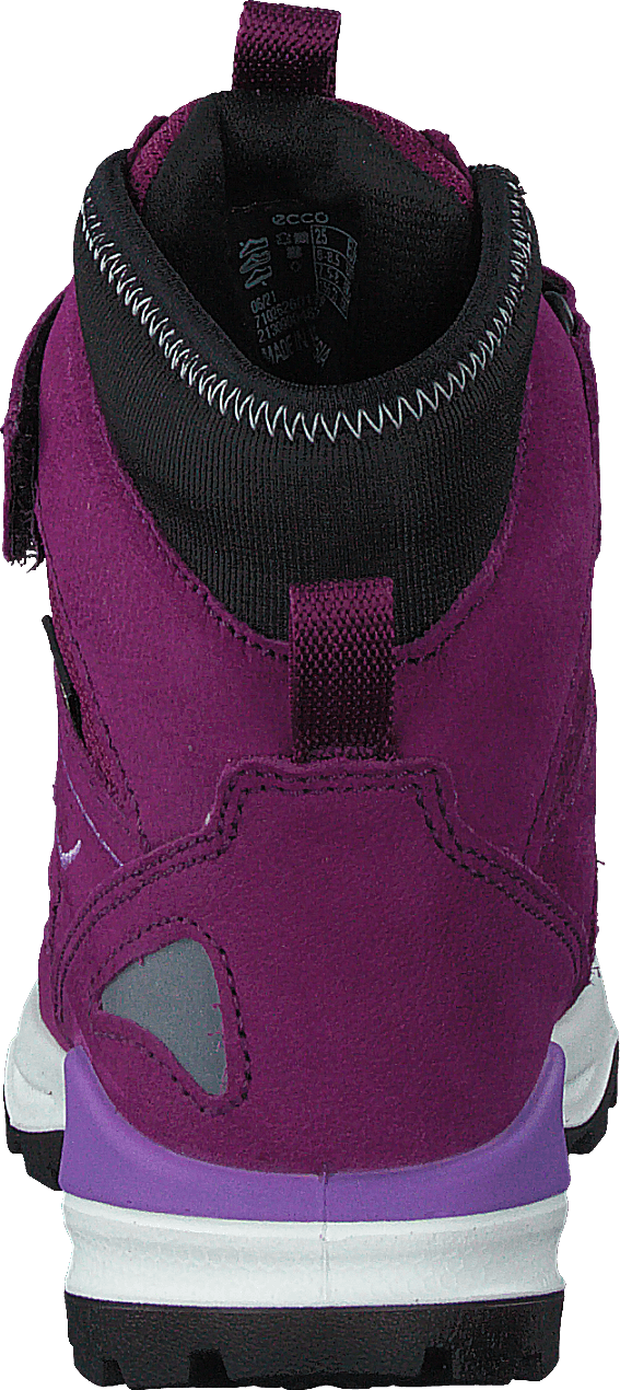 Ecco Snow Mountain Black/dark Purple/dark Purple