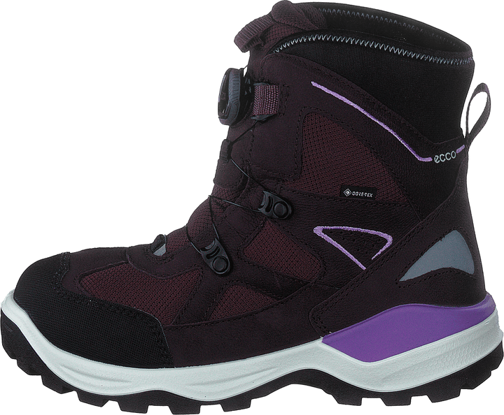 Ecco Snow Mountain Black/fig/fig