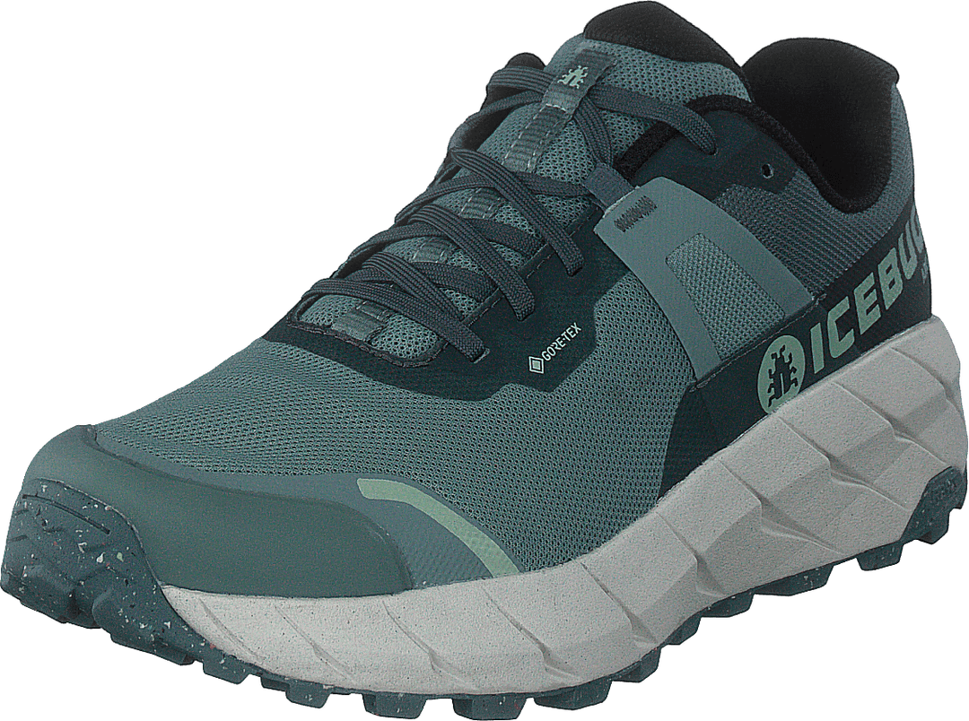 Arcus W Rb9x Gtx Grün/Stein