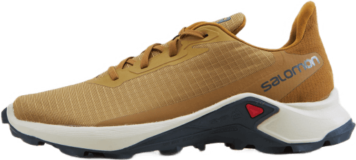 Alphacross 3 Cumin/Jour de pluie/Brun bronze