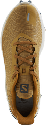 Alphacross 3 Cumin/Jour de pluie/Brun bronze