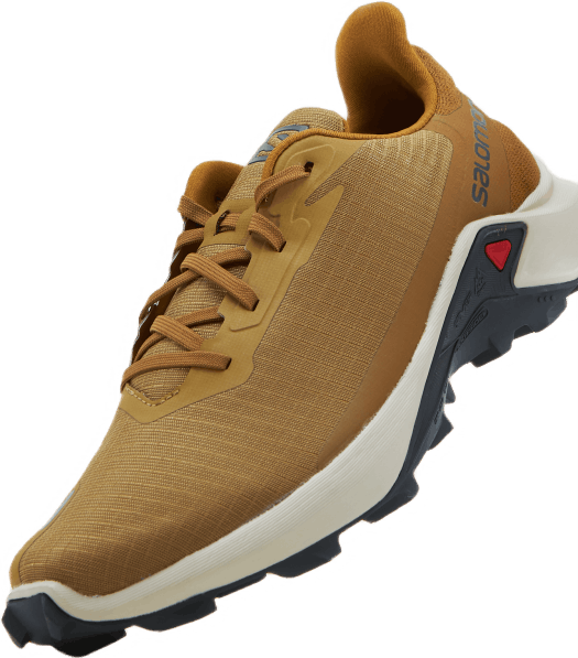 Alphacross 3 Cumin/Jour de pluie/Brun bronze