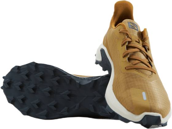 Alphacross 3 Cumin/Jour de pluie/Brun bronze