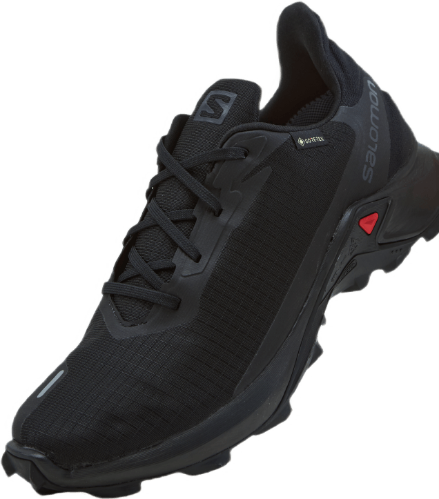 Alphacross 3 Gtx W Noir/noir/noir