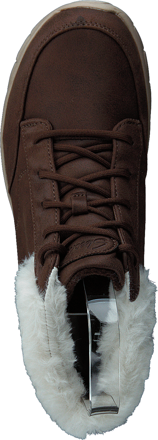 Synergy Choc