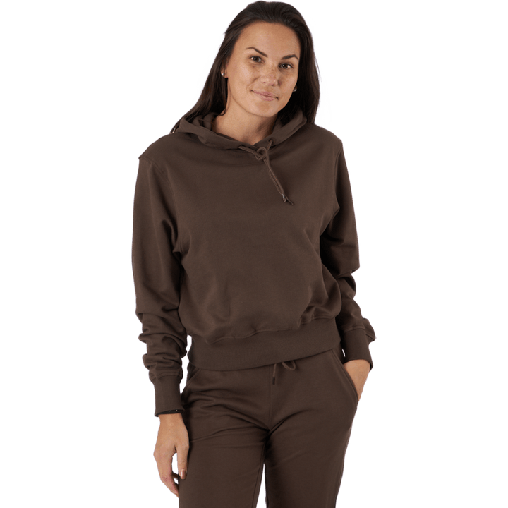 Felpa con cappuccio Sb Earth Brown