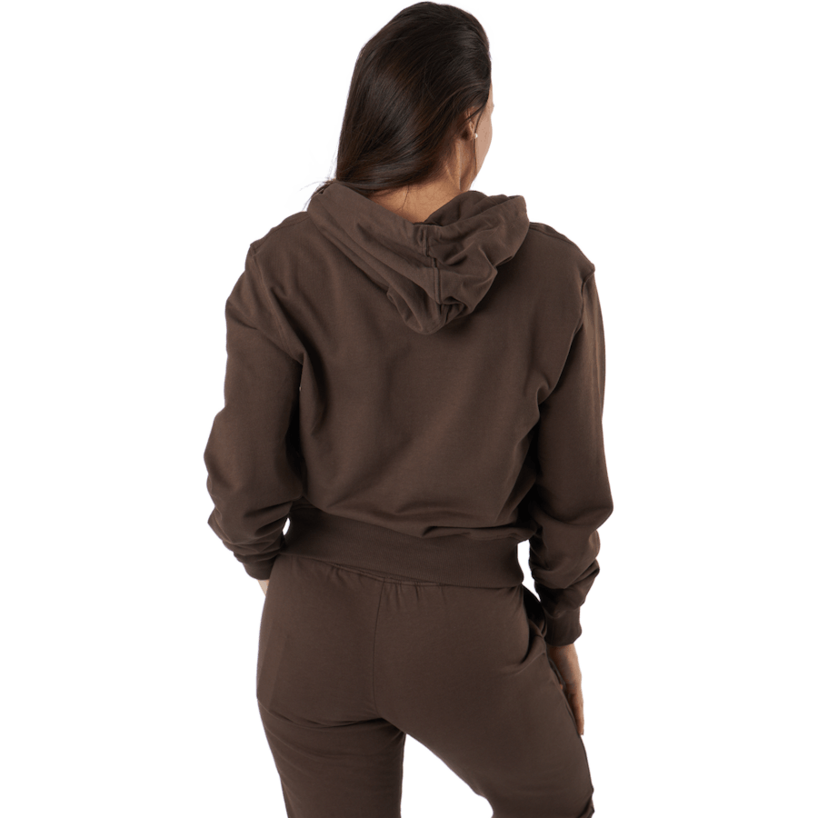 Felpa con cappuccio Sb Earth Brown
