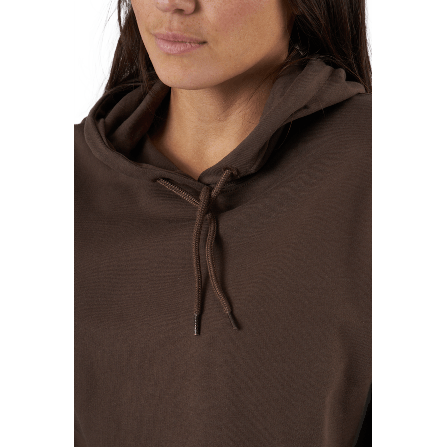 Felpa con cappuccio Sb Earth Brown