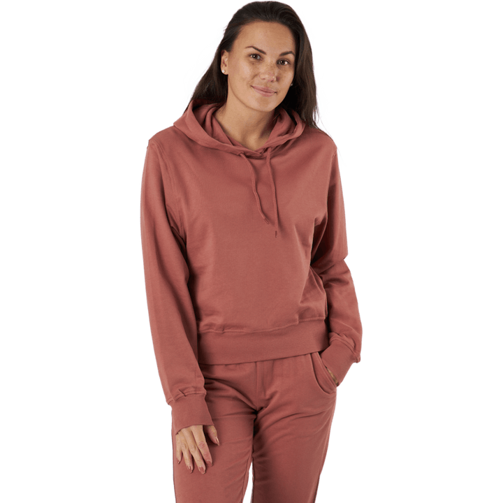 Sb Hoodie Dusty Rose