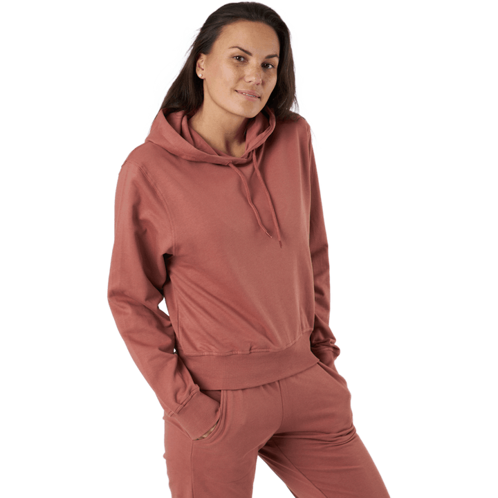 Sb Hoodie Dusty Rose