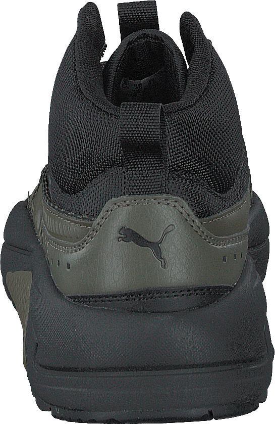 X-ray 2 Square Mid Wtr Forest Night-forest Night-puma