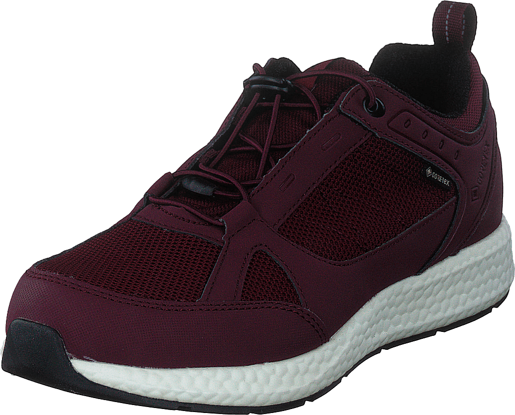 Orbit Smooth Gtx Bordo