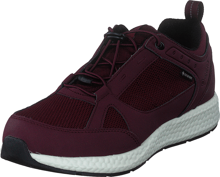 Orbit Smooth Gtx Bordo
